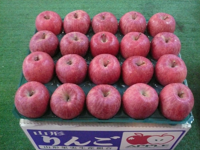 �ӂ����5kg�_���{�[������20��