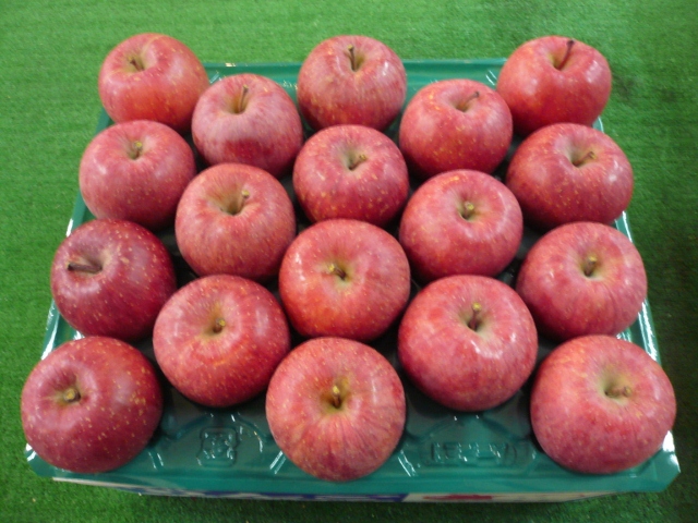 �ӂ����10kg�_���{�[������36��